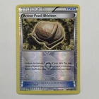 Armor Fossil Shieldon