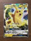 Ash's Pikachu 