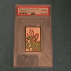 Sceptile