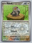 Pidove