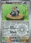 Pidove