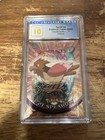 Spearow