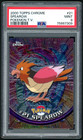 Spearow