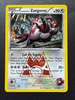 Team Magma's Zangoose