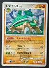 Torterra ex
