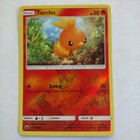 Torchic
