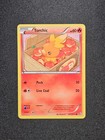 Torchic