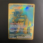 Ting-Lu ex
