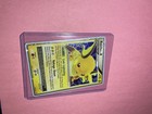 Raichu LV. X