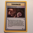 Mysterious Fossil