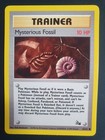 Mysterious Fossil