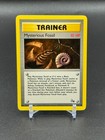 Mysterious Fossil