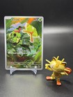 Caterpie