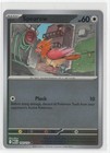 Spearow