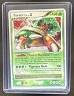 Torterra LV. X