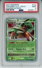Torterra LV. X