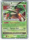 Torterra LV. X
