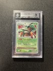 Torterra LV. X
