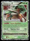 Torterra LV. X