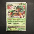 Torterra LV. X