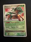Torterra LV. X