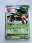 Torterra LV. X