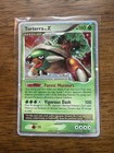 Torterra LV. X