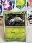 Nincada
