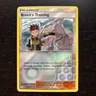 Brock's Training