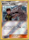 Brock's Training