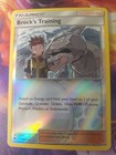 Brock's Training