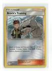 Brock's Training