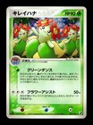 Bellossom