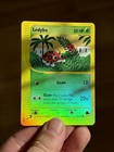 Ledyba