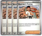 Black Belt's Training