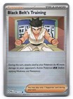 Black Belt's Training