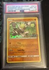 Passimian