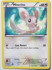 Minccino
