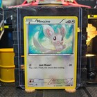 Minccino