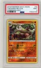 Torterra