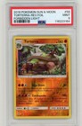 Torterra