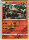 Torterra