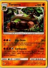 Torterra