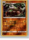 Torterra