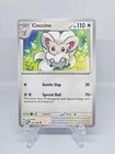 Cinccino