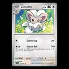 Cinccino