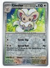Cinccino