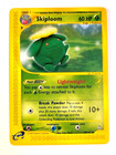 Skiploom