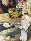 Squawkabilly ex