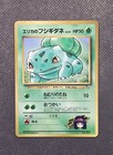 Erika's Bulbasaur